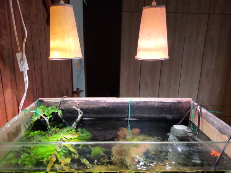 水槽　LED照明